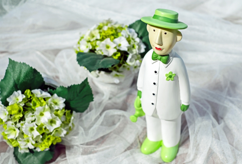 vitrine-LEVENS-min_man-person-flower-green-toy-fig-546529-pxhere.com